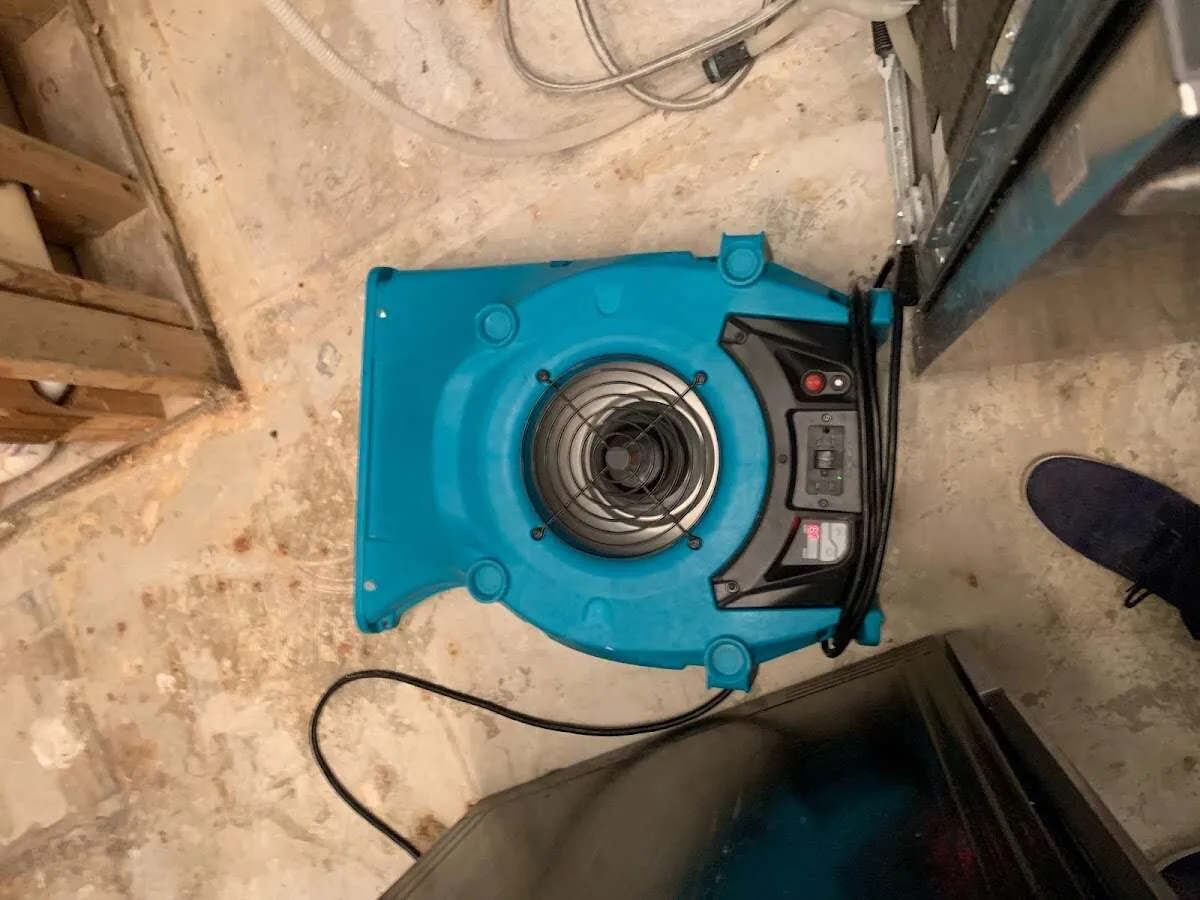 Air mover drying equipment for Mold Remediation & Removal in Shively